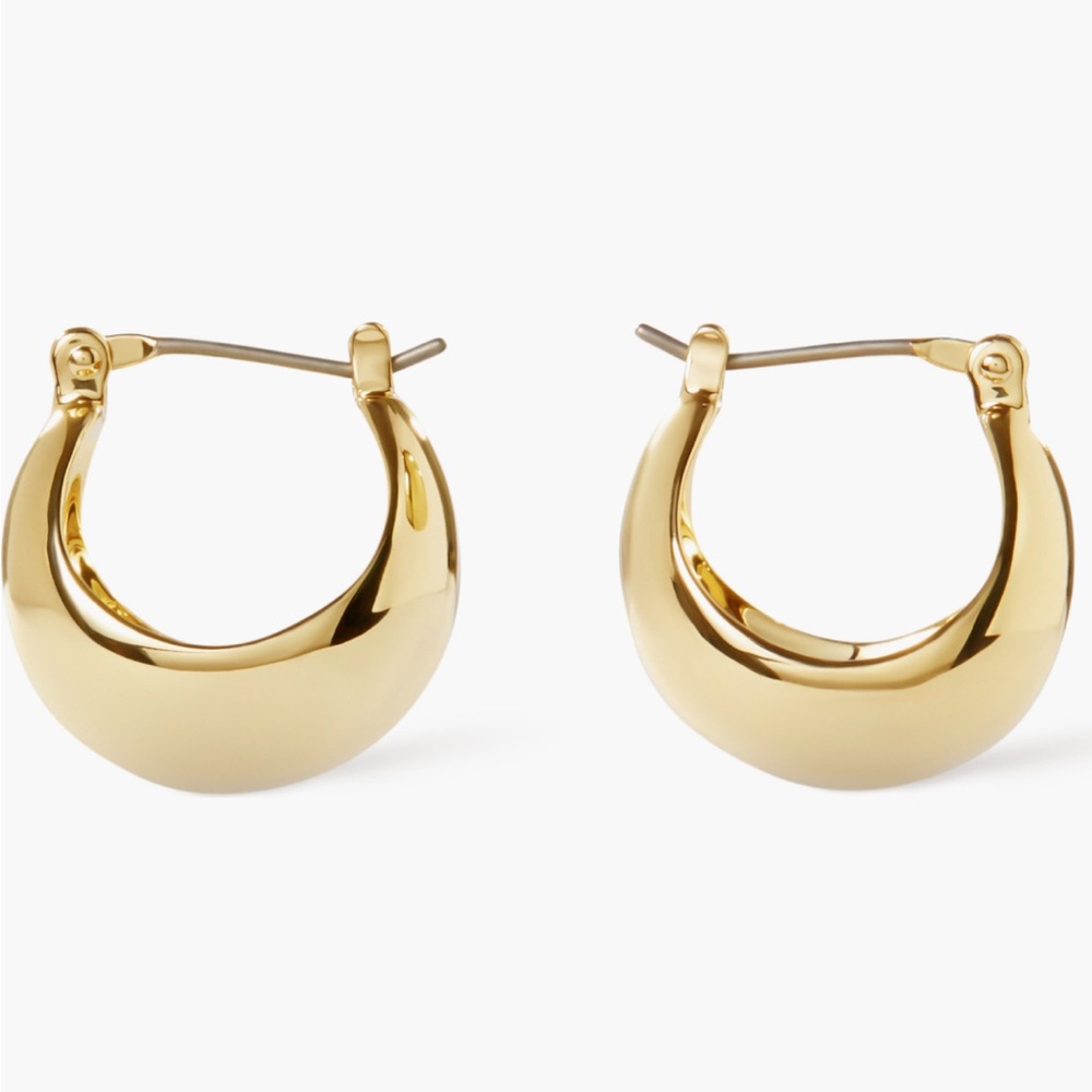 Ana Luisa Chic Gold Hoop Earrings -Abby